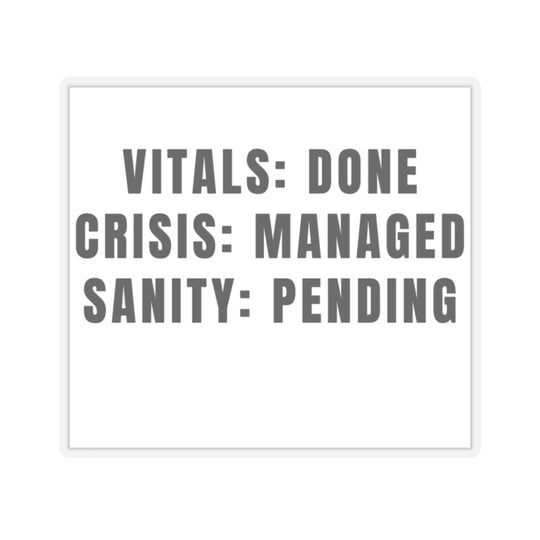 Humorous Motivational Kiss-Cut Stickers | Quirky Office Decor, Laptop Accessories, Gifts for Friends, Stress Relief, Fun Quotes